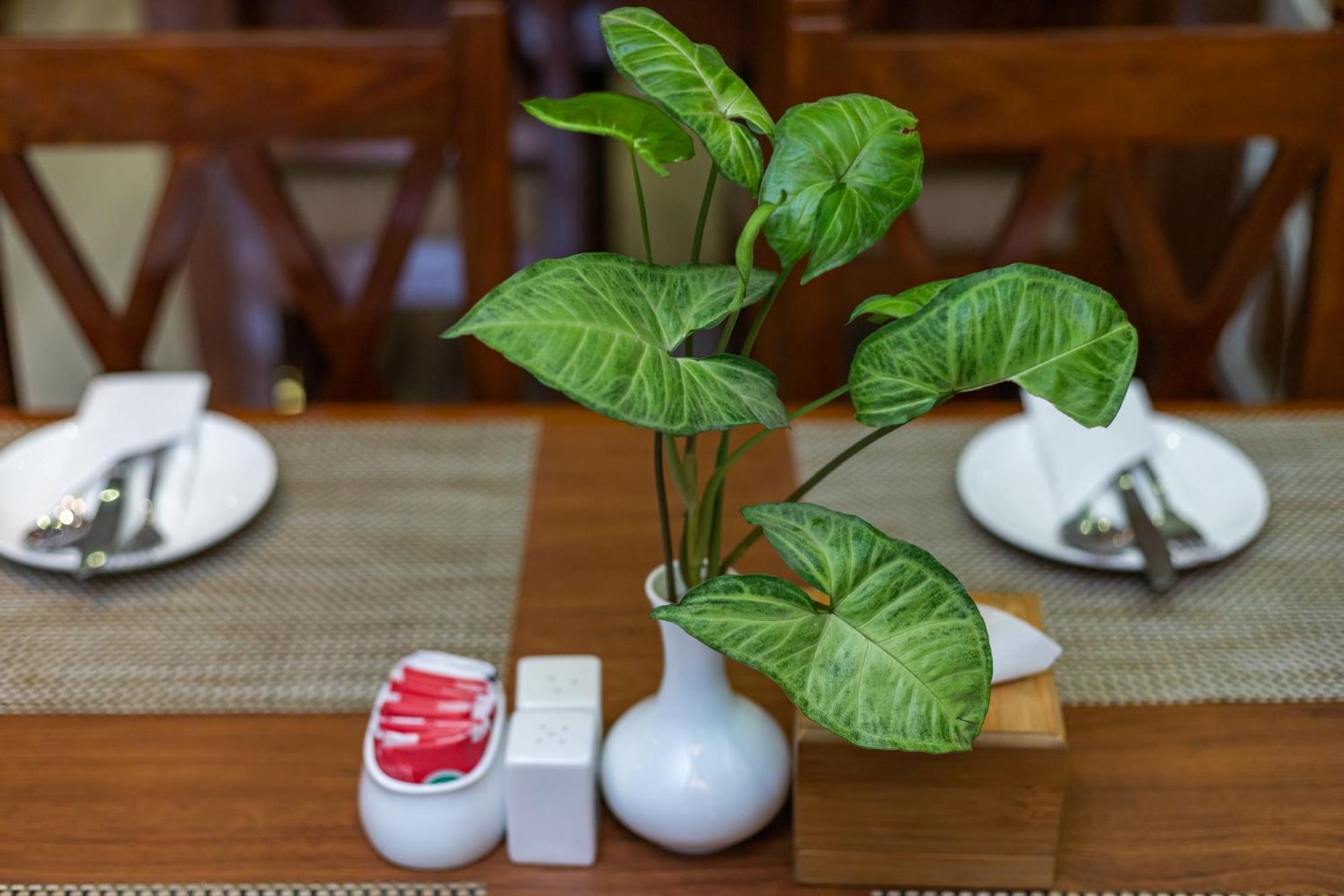 Hotel Haven O' Ganga Pokhara Ngoại thất bức ảnh
